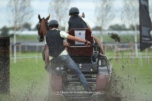 NK enkel- en tweespan paarden Maasdijk gaat door!